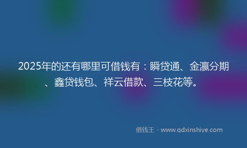 2025年的还有哪里可借钱有：瞬贷通、金瀛分期、鑫贷钱包、祥云借款、三枝花等。