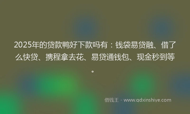 2025年的贷款鸭好下款吗有：钱袋易贷融、借了么快贷、携程拿去花、易贷通钱包、现金秒到等。