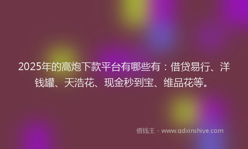 2025年的高炮下款平台有哪些有：借贷易行、洋钱罐、天浩花、现金秒到宝、维品花等。
