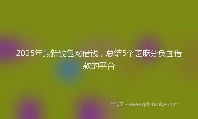 2025年最新钱包网借钱，总结5个芝麻分负面借款的平台