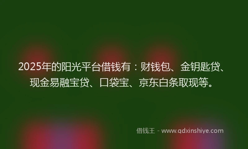 2025年的阳光平台借钱有：财钱包、金钥匙贷、现金易融宝贷、口袋宝、京东白条取现等。
