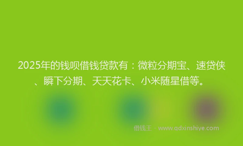 2025年的钱呗借钱贷款有：微粒分期宝、速贷侠、瞬下分期、天天花卡、小米随星借等。