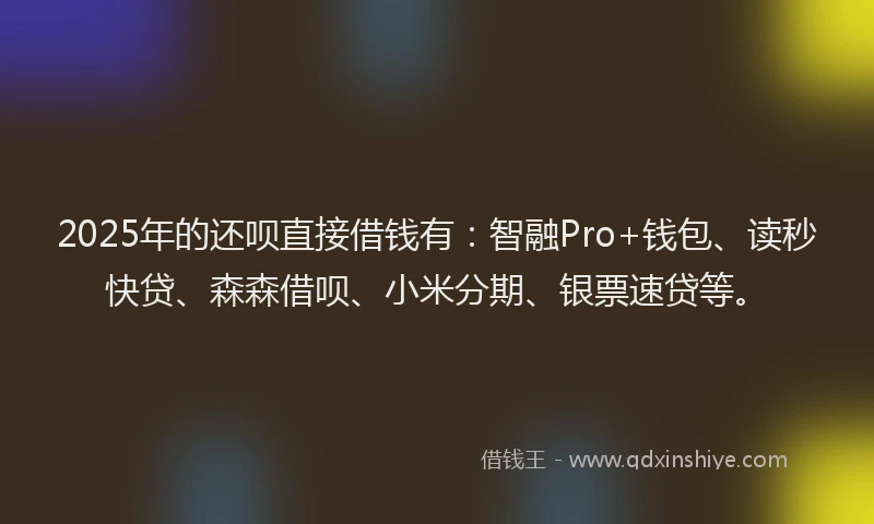 2025年的还呗直接借钱有：智融Pro+钱包、读秒快贷、森森借呗、小米分期、银票速贷等。