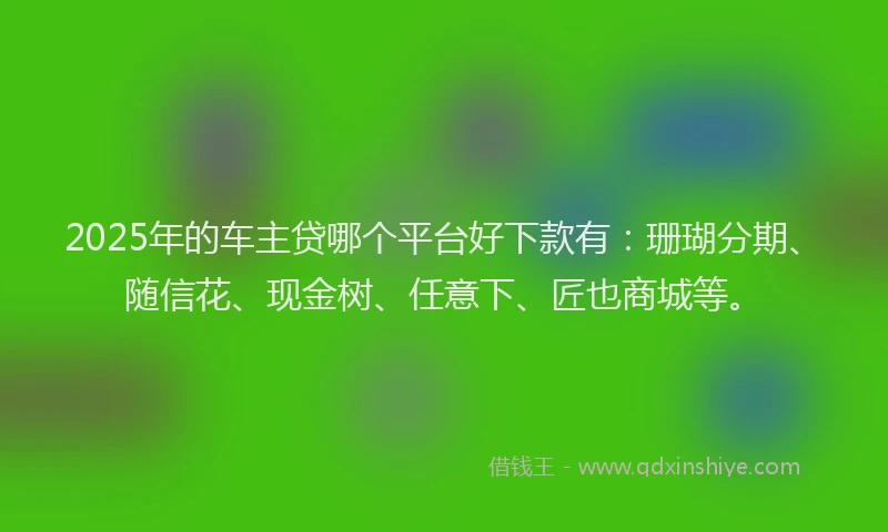 2025年的车主贷哪个平台好下款有：珊瑚分期、随信花、现金树、任意下、匠也商城等。