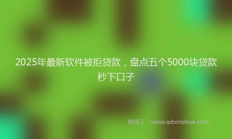 2025年最新软件被拒贷款，盘点五个5000块贷款秒下口子