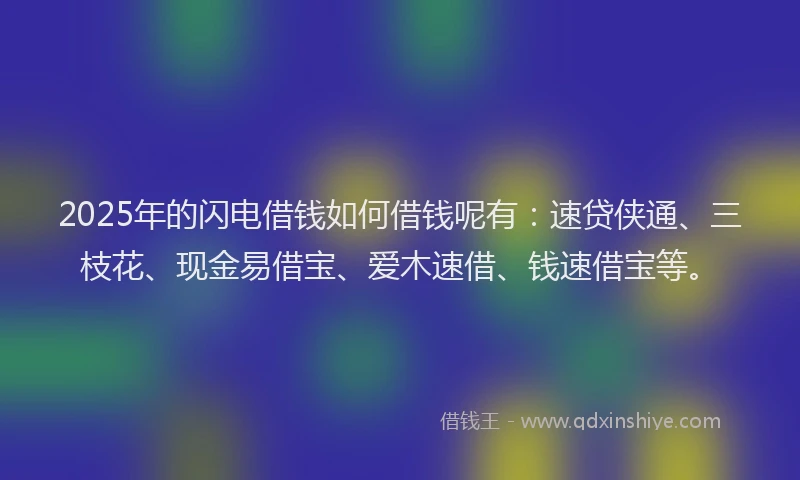 2025年的闪电借钱如何借钱呢有：速贷侠通、三枝花、现金易借宝、爱木速借、钱速借宝等。