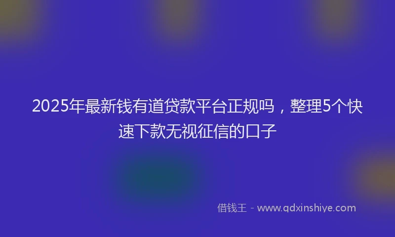 2025年最新钱有道贷款平台正规吗，整理5个快速下款无视征信的口子