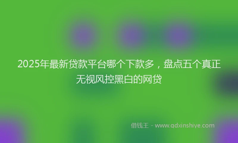 2025年最新贷款平台哪个下款多，盘点五个真正无视风控黑白的网贷