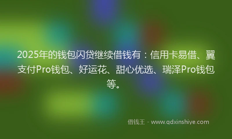 2025年的钱包闪贷继续借钱有：信用卡易借、翼支付Pro钱包、好运花、甜心优选、瑞泽Pro钱包等。