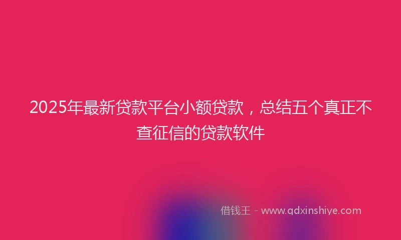 2025年最新贷款平台小额贷款，总结五个真正不查征信的贷款软件