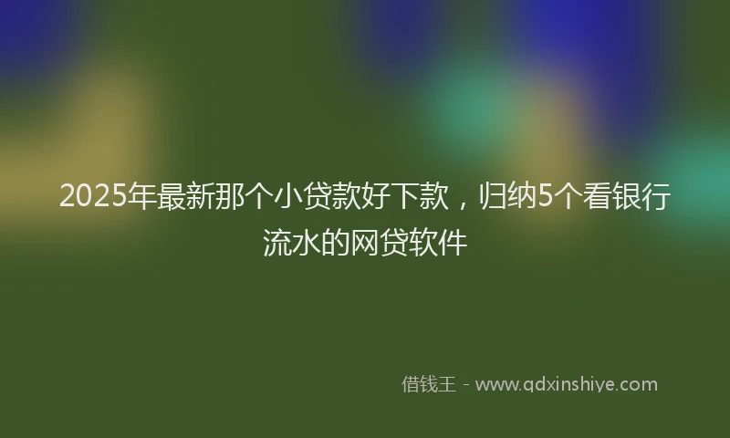 2025年最新那个小贷款好下款，归纳5个看银行流水的网贷软件