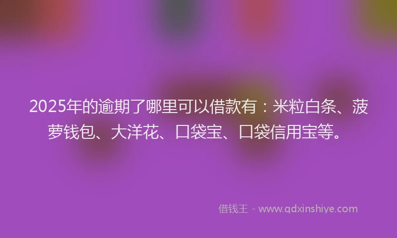 2025年的逾期了哪里可以借款有：米粒白条、菠萝钱包、大洋花、口袋宝、口袋信用宝等。