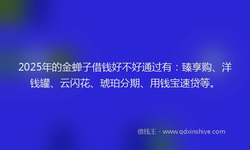 2025年的金蝉子借钱好不好通过有：臻享购、洋钱罐、云闪花、琥珀分期、用钱宝速贷等。