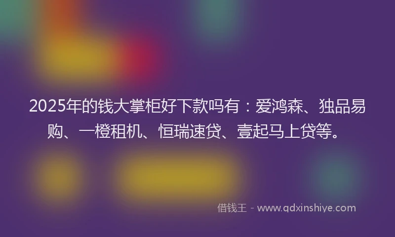 2025年的钱大掌柜好下款吗有：爱鸿森、独品易购、一橙租机、恒瑞速贷、壹起马上贷等。