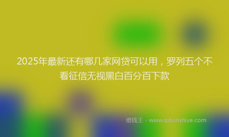 2025年最新还有哪几家网贷可以用，罗列五个不看征信无视黑白百分百下款