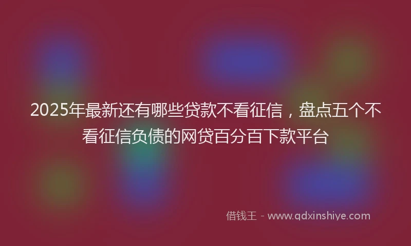 2025年最新还有哪些贷款不看征信，盘点五个不看征信负债的网贷百分百下款平台