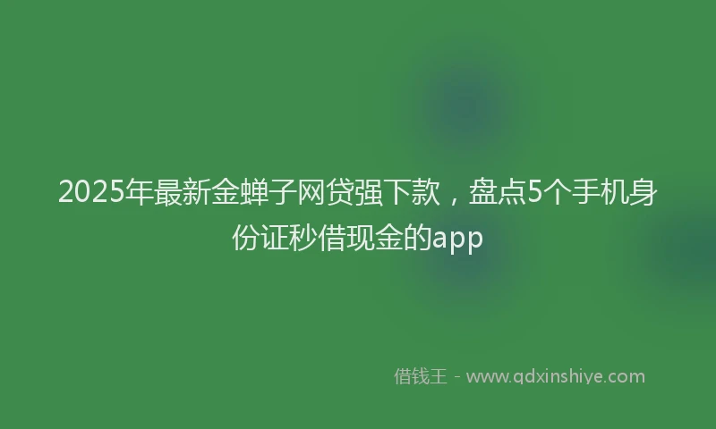 2025年最新金蝉子网贷强下款，盘点5个手机身份证秒借现金的app