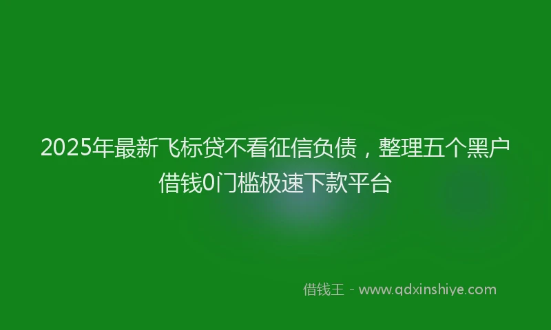 2025年最新飞标贷不看征信负债，整理五个黑户借钱0门槛极速下款平台