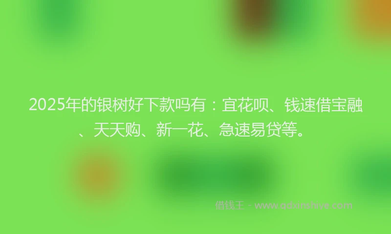 2025年的银树好下款吗有：宜花呗、钱速借宝融、天天购、新一花、急速易贷等。