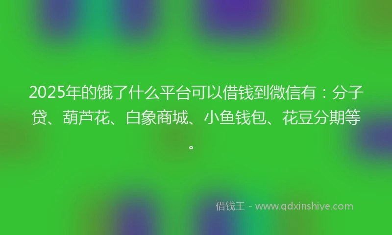 2025年的饿了什么平台可以借钱到微信有：分子贷、葫芦花、白象商城、小鱼钱包、花豆分期等。