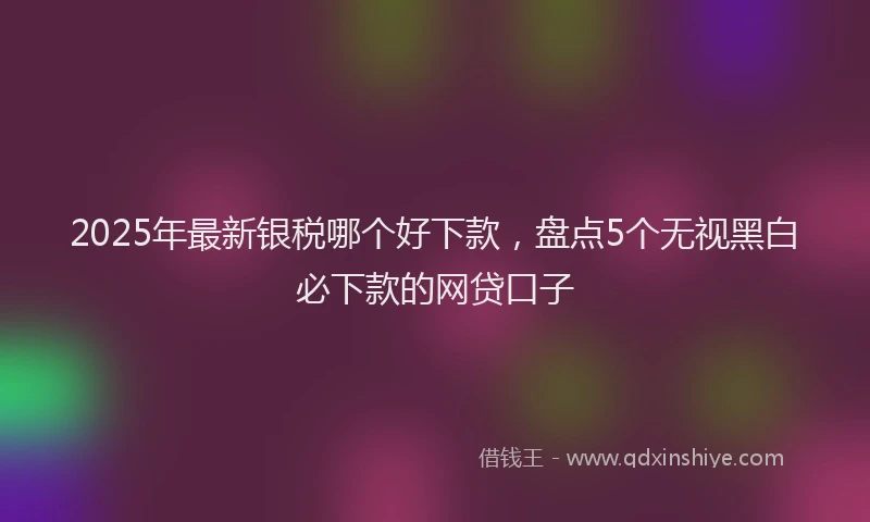 2025年最新银税哪个好下款，盘点5个无视黑白必下款的网贷口子