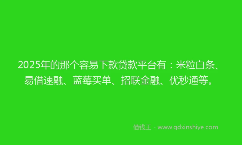 2025年的那个容易下款贷款平台有：米粒白条、易借速融、蓝莓买单、招联金融、优秒通等。