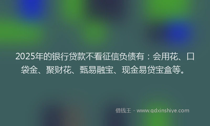 2025年的银行贷款不看征信负债有：会用花、口袋金、聚财花、甄易融宝、现金易贷宝盒等。