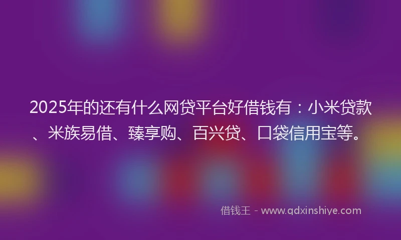 2025年的还有什么网贷平台好借钱有：小米贷款、米族易借、臻享购、百兴贷、口袋信用宝等。