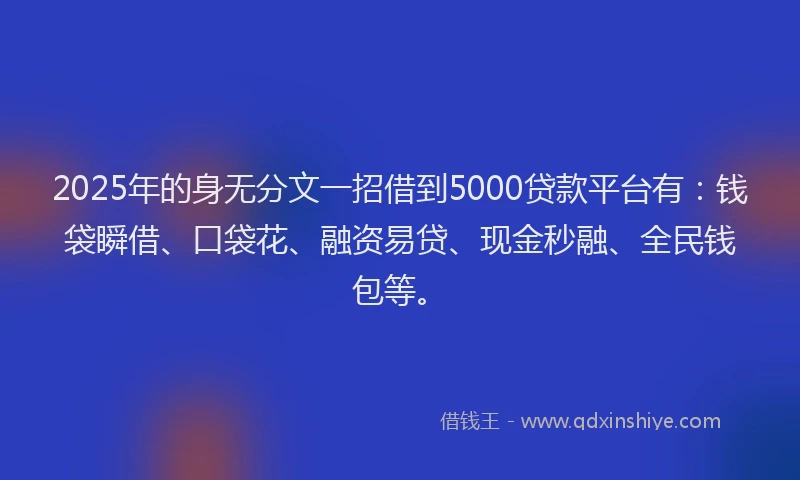 2025年的身无分文一招借到5000贷款平台有：钱袋瞬借、口袋花、融资易贷、现金秒融、全民钱包等。