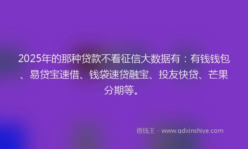 2025年的那种贷款不看征信大数据有：有钱钱包、易贷宝速借、钱袋速贷融宝、投友快贷、芒果分期等。