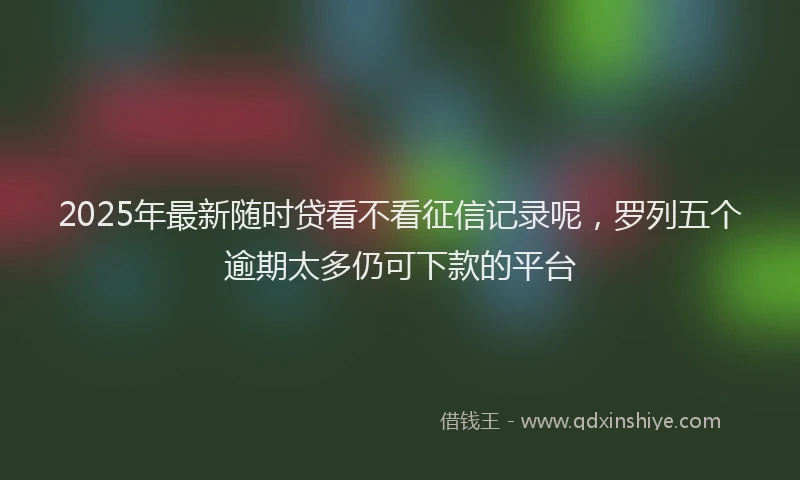 2025年最新随时贷看不看征信记录呢,罗列五个逾期太多仍可下款的平台
