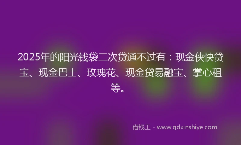 2025年的阳光钱袋二次贷通不过有：现金侠快贷宝、现金巴士、玫瑰花、现金贷易融宝、掌心租等。