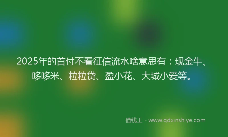 2025年的首付不看征信流水啥意思有：现金牛、哆哆米、粒粒贷、盈小花、大城小爱等。
