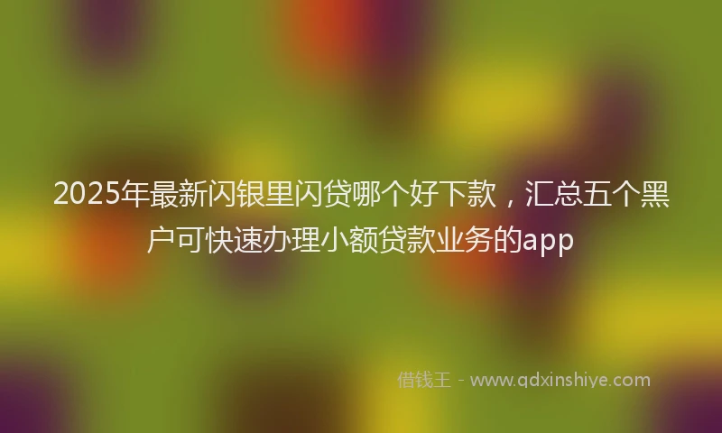 2025年最新闪银里闪贷哪个好下款，汇总五个黑户可快速办理小额贷款业务的app