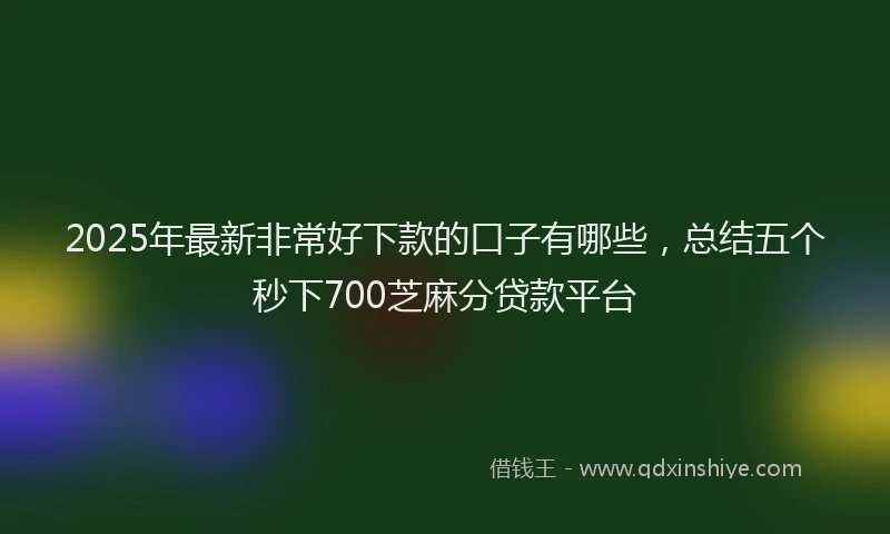 2025年最新非常好下款的口子有哪些，总结五个秒下700芝麻分贷款平台
