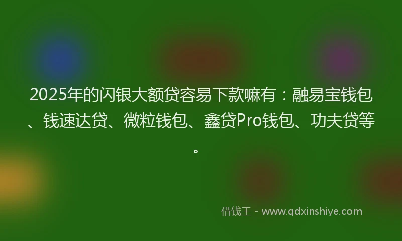 2025年的闪银大额贷容易下款嘛有：融易宝钱包、钱速达贷、微粒钱包、鑫贷Pro钱包、功夫贷等。