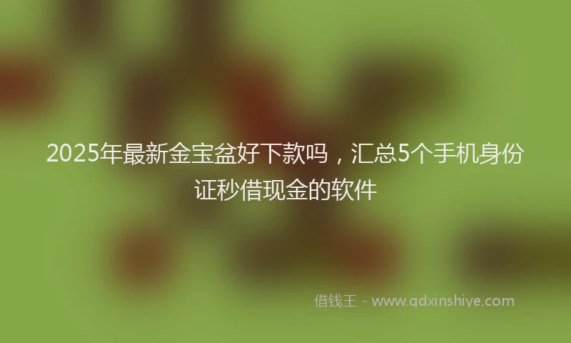 2025年最新金宝盆好下款吗，汇总5个手机身份证秒借现金的软件