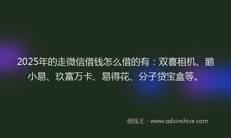 2025年的走微信借钱怎么借的有：双喜租机、鹅小易、玖富万卡、易得花、分子贷宝盒等。