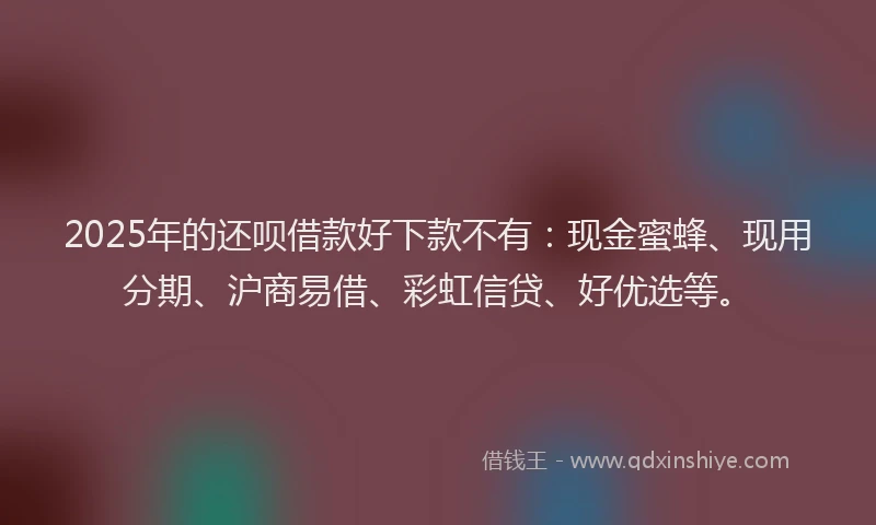 2025年的还呗借款好下款不有：现金蜜蜂、现用分期、沪商易借、彩虹信贷、好优选等。
