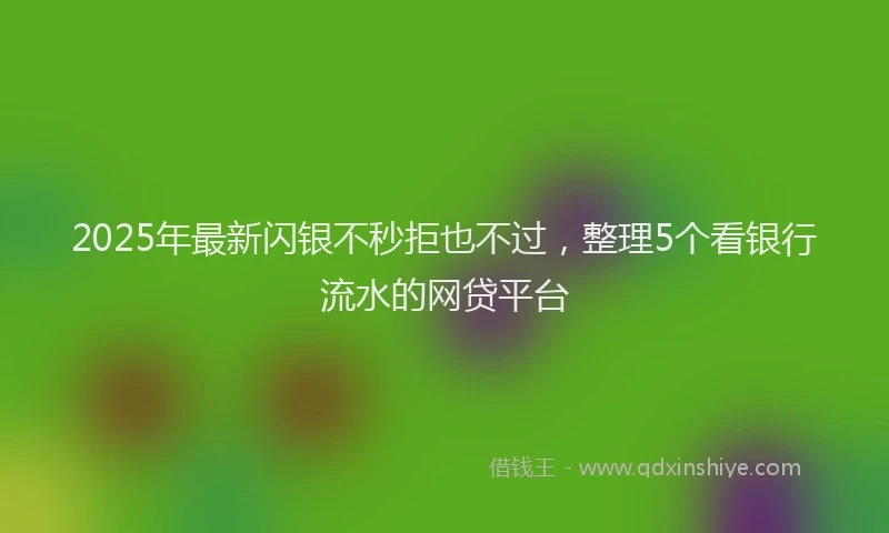 2025年最新闪银不秒拒也不过,整理5个看银行流水的网贷平台