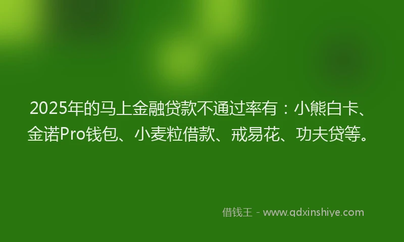 2025年的马上金融贷款不通过率有：小熊白卡、金诺Pro钱包、小麦粒借款、戒易花、功夫贷等。
