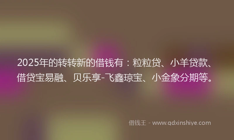 2025年的转转新的借钱有：粒粒贷、小羊贷款、借贷宝易融、贝乐享-飞鑫琼宝、小金象分期等。