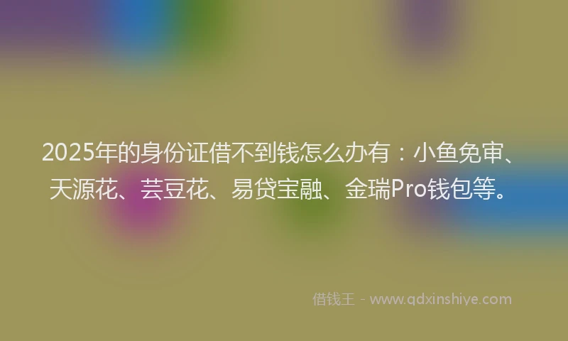 2025年的身份证借不到钱怎么办有：小鱼免审、天源花、芸豆花、易贷宝融、金瑞Pro钱包等。