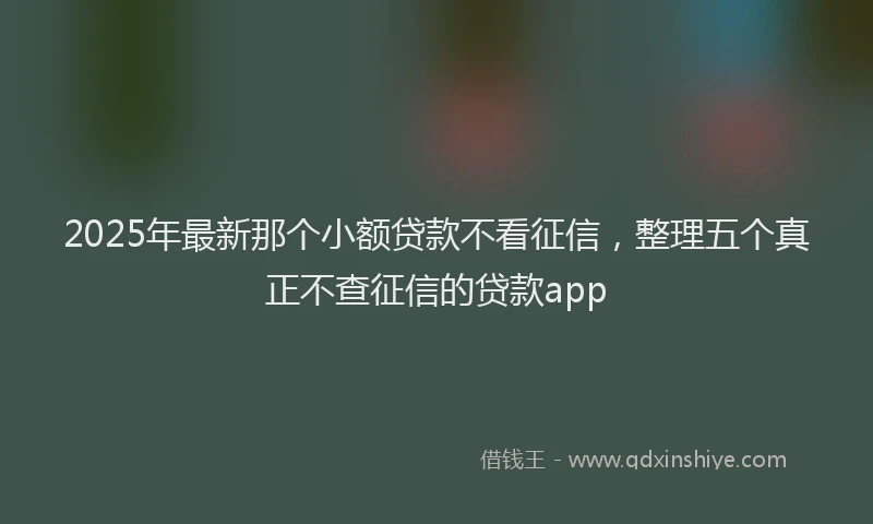 2025年最新那个小额贷款不看征信，整理五个真正不查征信的贷款app