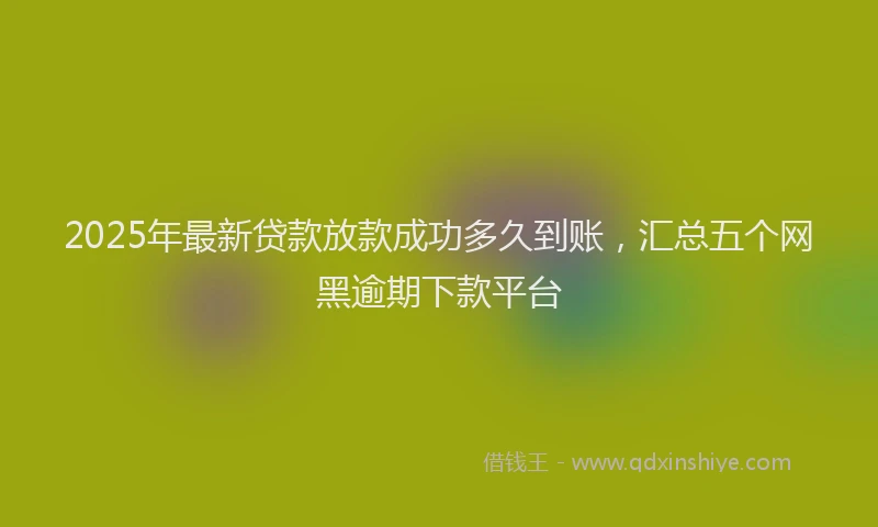 2025年最新贷款放款成功多久到账，汇总五个网黑逾期下款平台