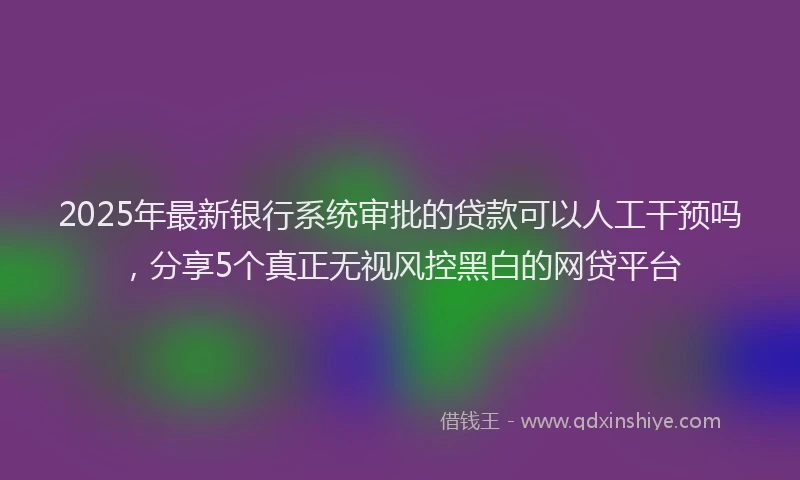 2025年最新银行系统审批的贷款可以人工干预吗，分享5个真正无视风控黑白的网贷平台