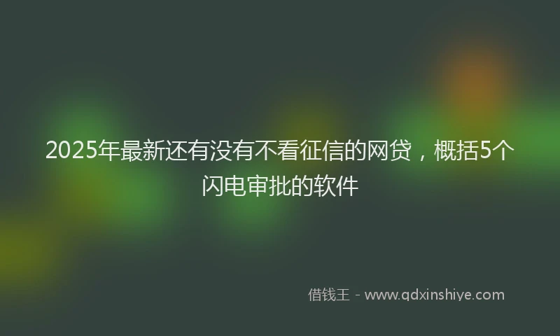 2025年最新还有没有不看征信的网贷，概括5个闪电审批的软件