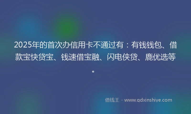 2025年的首次办信用卡不通过有：有钱钱包、借款宝快贷宝、钱速借宝融、闪电侠贷、鹿优选等。