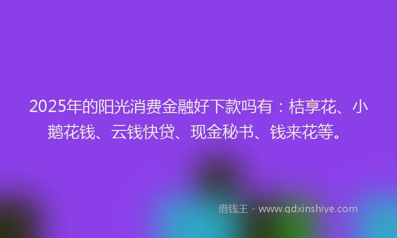 2025年的阳光消费金融好下款吗有：桔享花、小鹅花钱、云钱快贷、现金秘书、钱来花等。
