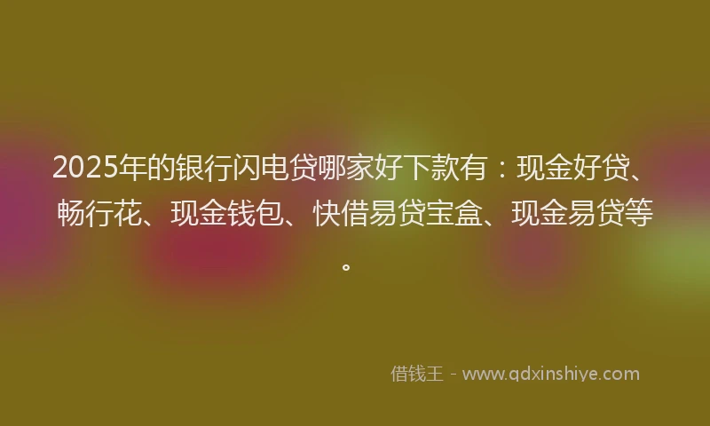 2025年的银行闪电贷哪家好下款有：现金好贷、畅行花、现金钱包、快借易贷宝盒、现金易贷等。
